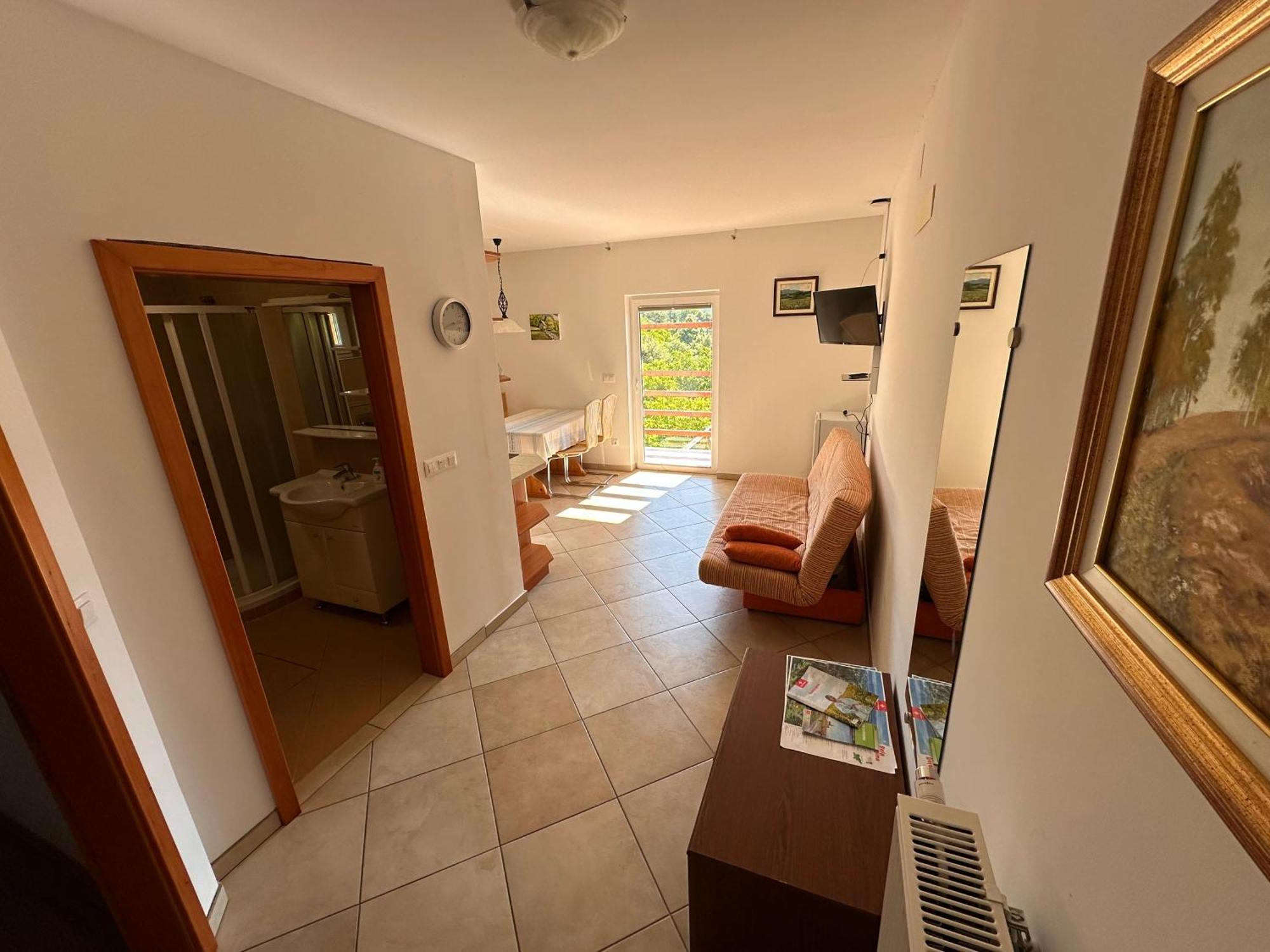Apartments Suster Stari Trg ob Kolpi Exterior foto